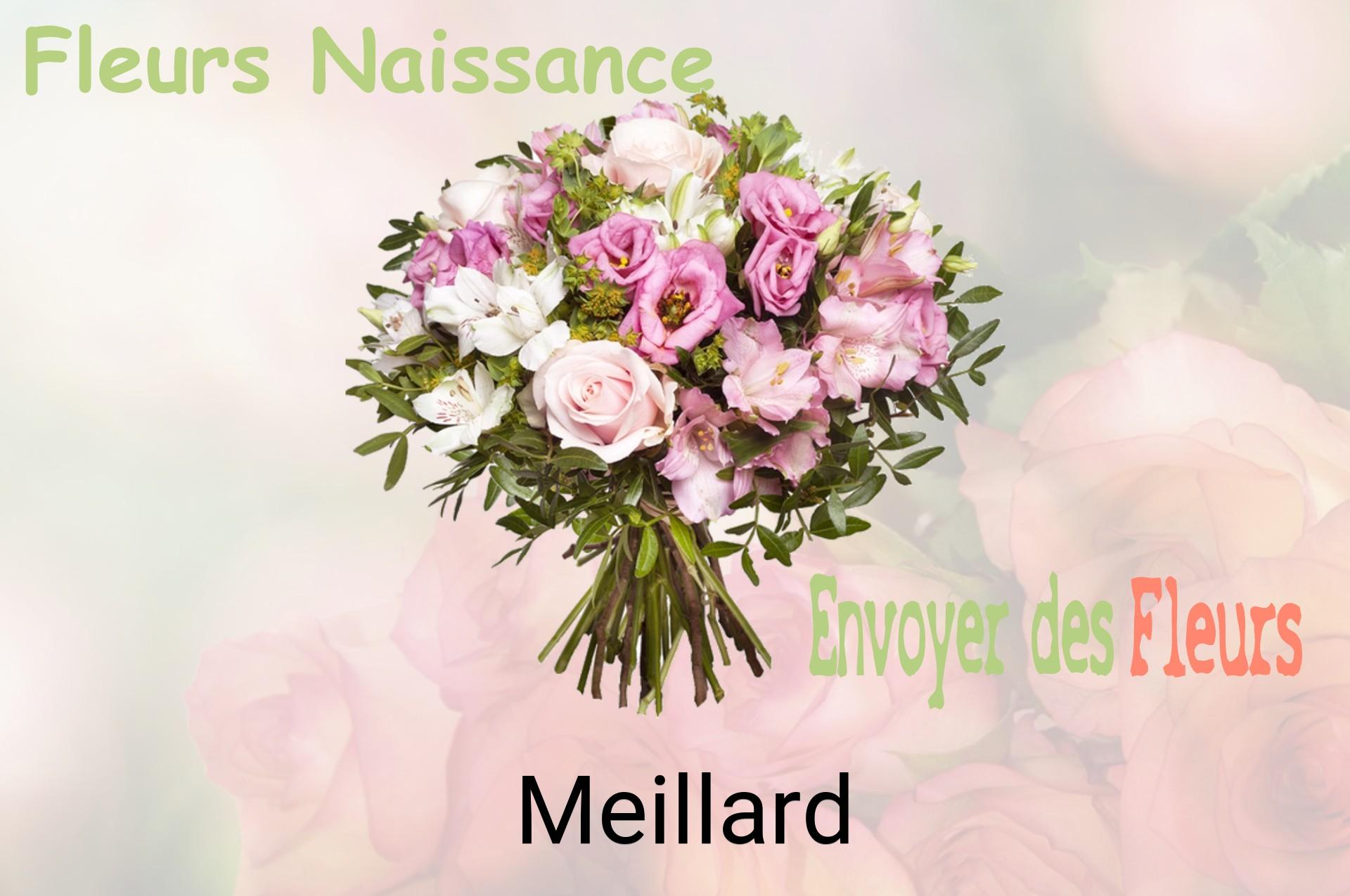 Bouquet de fleurs de naissance livré à Meillard